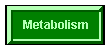 metabolism